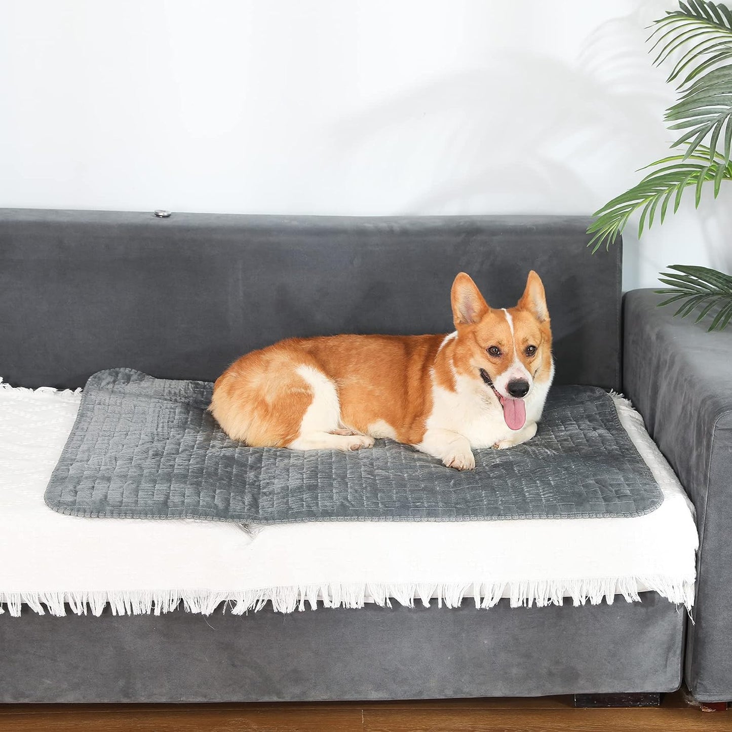 Washable Sherpa Pet Blankets for Medium and large Dogs and Cats