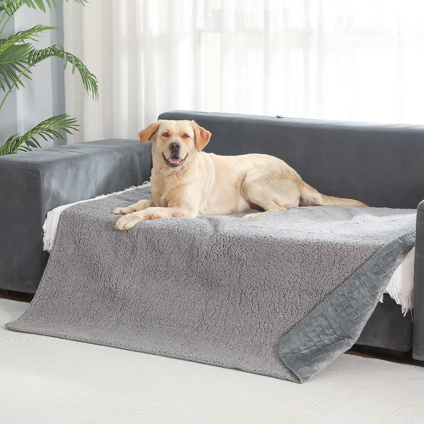 Washable Sherpa Pet Blankets for Medium and large Dogs and Cats