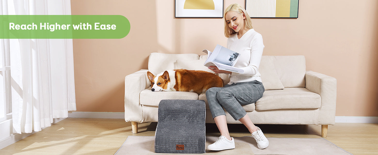 pet stairs